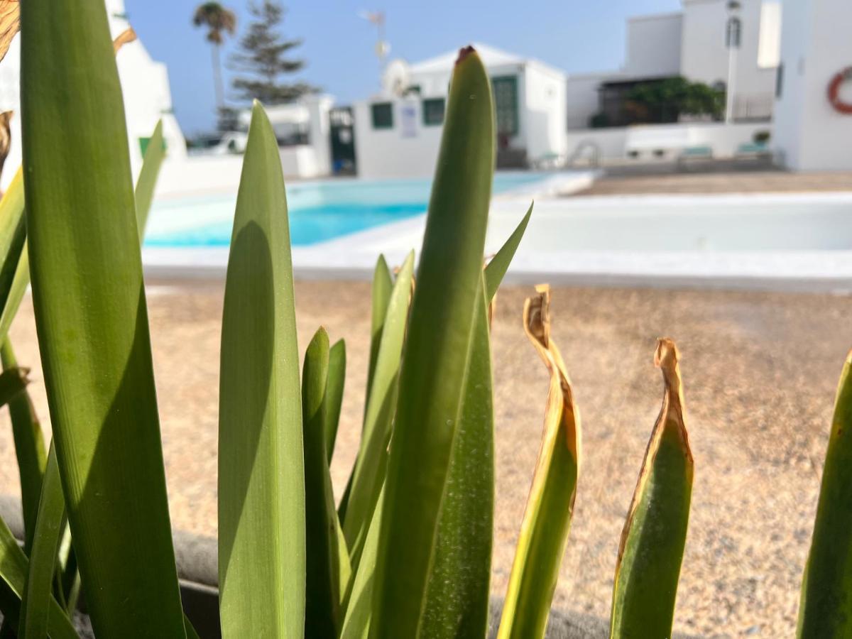 פוארטו דל כרמן Las Mimosas Beach Sol מראה חיצוני תמונה