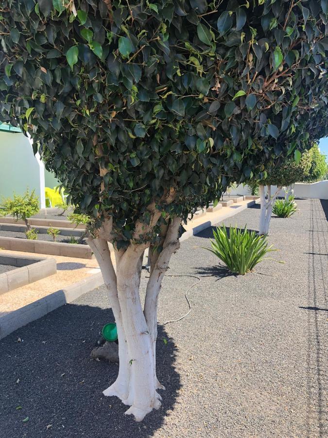 פוארטו דל כרמן Las Mimosas Beach Sol מראה חיצוני תמונה